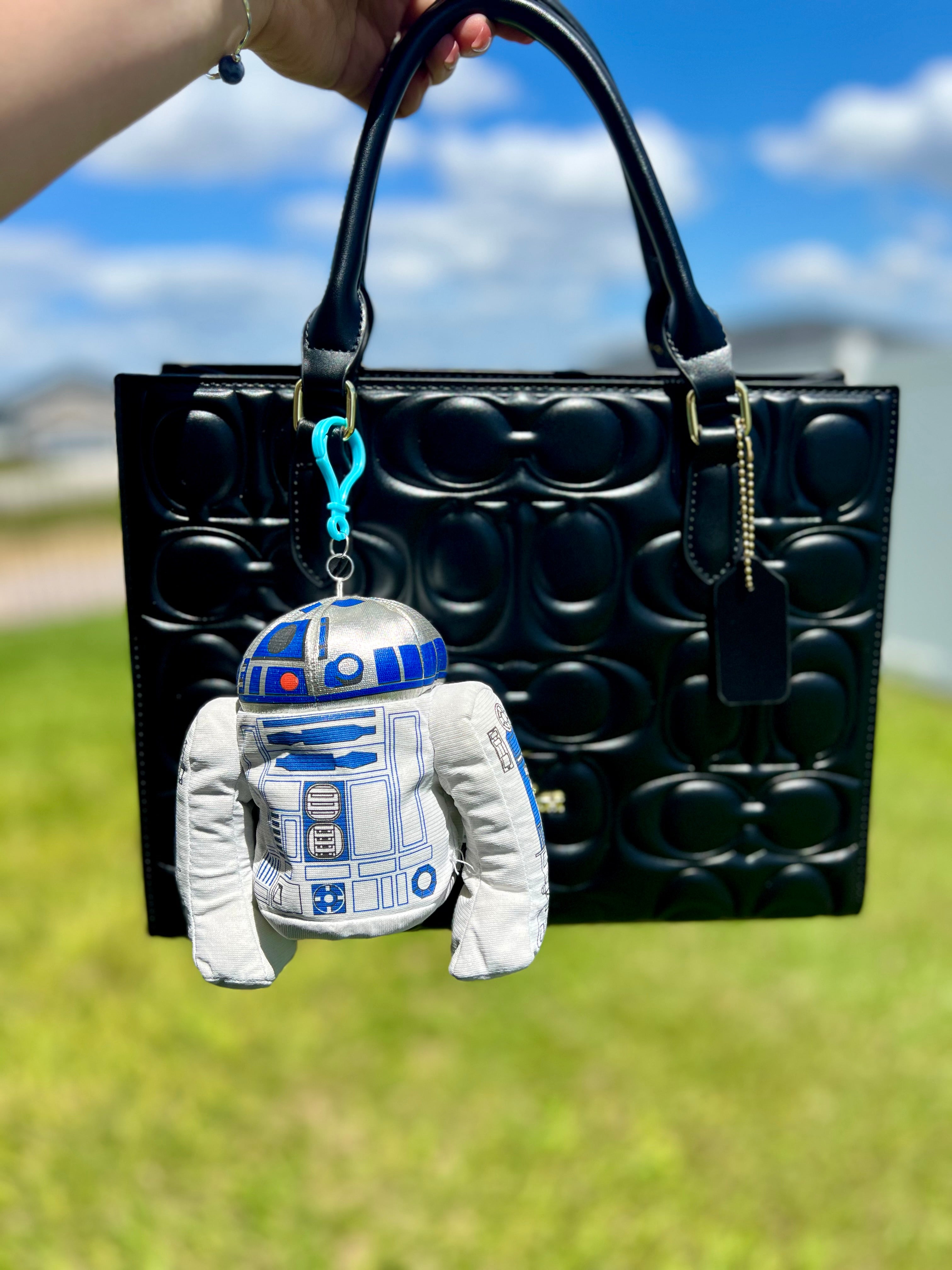 R2-D2 charm